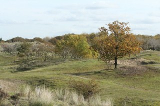 aw-duinen-29